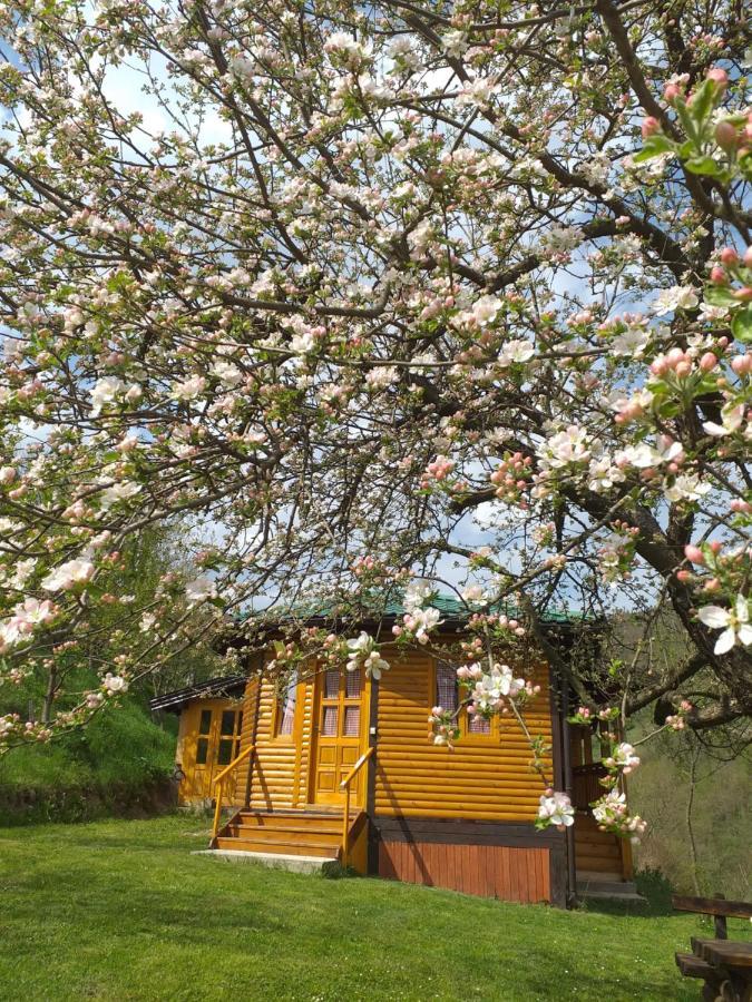 Motel Bavaria Фоча Экстерьер фото